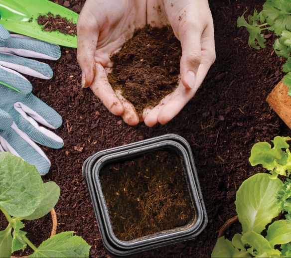 Foodilizer maanparannusaine