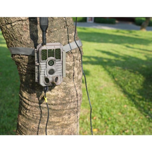 GardePro X60 riistakamera puussa