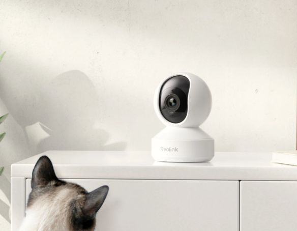 Reolink E Series E340 5MP PTZ Wifi valvontakamera ja koira